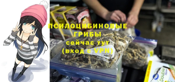 эйфоретик Волоколамск