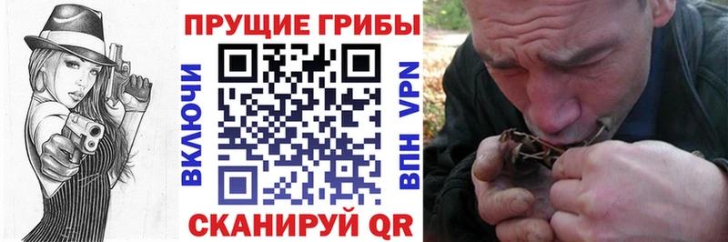 ОМГ ОМГ сайт  Долинск  Галлюциногенные грибы GOLDEN TEACHER 